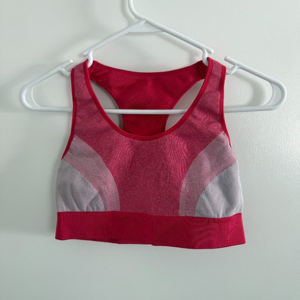 Aerie Pink Sports Bra - EUC